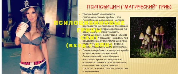 мет Магас